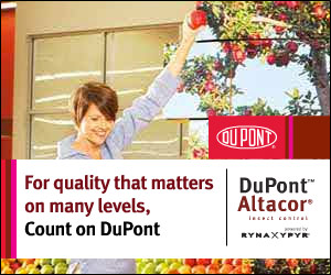 DuPont Altacor 300x250