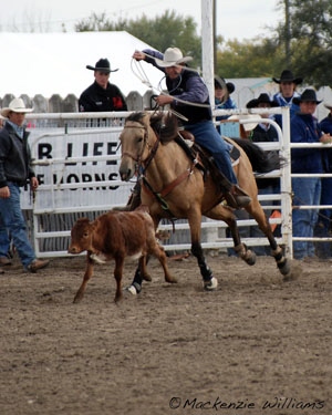 Calf roping