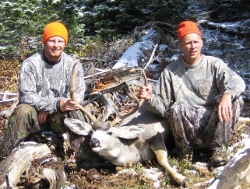 Austin WY deer
