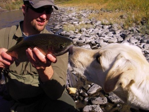 Josh dog & fish