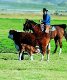 Local Ranchers Are AGtivists